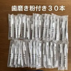 [新品未開封]日本製 歯磨き粉付き使い捨て歯ブラシ　30本