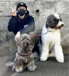 San Diego padres wind and sea New era