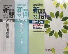 新国語問題集 現代文編 2024年度 国公立2次