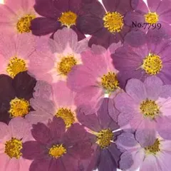 かよ様 リクエスト 2点 まとめ商品