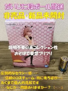 その着せ替え人形は恋をする Celestial vivi 乾紗寿叶