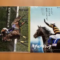 JRA キタサンブラック クリアファイル ヒーロー列伝 非売品　2枚セット