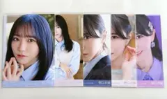 イコラブ ぬいぐるみ 衣装 とくべチュ、して 佐々木舞香 野口衣織