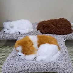 犬 ぬいぐるみ 消臭炭入り