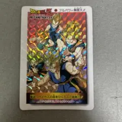 ドラゴンボールZ PPカード PART 24