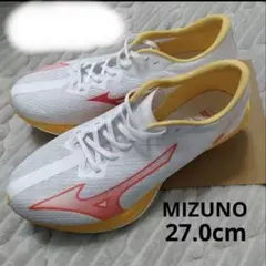 Mizuno Wave Duel PRO QTR 27.0cm