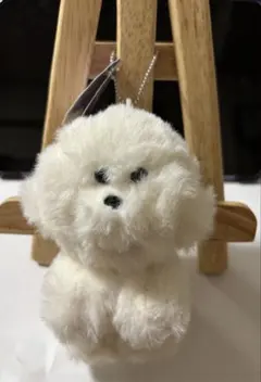 さみしがりやのビションフリーゼ マスコットBC