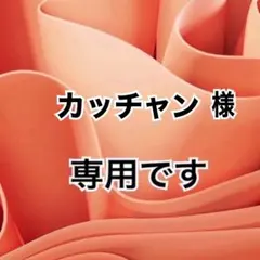 カッチャン様 リクエスト 2点 まとめ商品