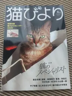 猫びより 冬号2026年No.139
