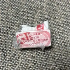 アイドルホースミニコレクションvol.41 ハヤヤッコ