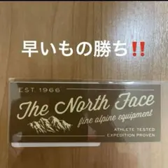 新品未使用品ノースフェイスアルパインクラシックデザインステッカー1枚早いもの勝ち