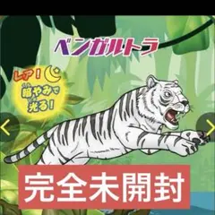 新品未開封　ジャングル&co. ベンガルトラ　暗闇で光る　レア　アンドコ