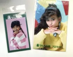 本田美奈子　マルベル堂　プロマイド2種