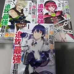 味方が弱すぎて補助魔法に徹していた宮廷魔法師、追放されて最強を目指す 1-3巻