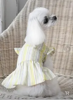 【新品未使用】One Octave マルチストライプワンピース　犬服　Mサイズ