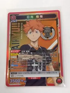 2025年最新】ユニオンレア 日向翔陽の人気アイテム - メルカリ