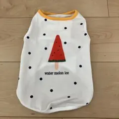 DOTTIE 犬服 メッシュ タンク スイカ柄のサムネイル