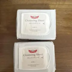 Item thumbnail for item 0c983e89-38e3-4d3e-a81b-d5df51736546