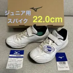 【元箱・タグあり】ミズノ ライトレボトレーナー Jr. 22.0cm