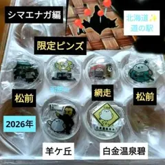 北海道 道の駅 ピンバッジ シマエナガ 5個セット✨️お得 - メルカリ