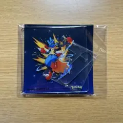 ポケモンZA 購入特典 ルカリオ