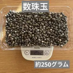 Item thumbnail for item b4bc5a8b-083f-401a-b28f-c003664132c8