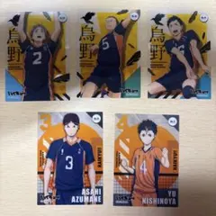 カード トレカ 烏野高校 ハイキュー!!