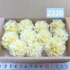 ソラフラワー　2320