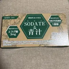 Item thumbnail for item 5c9f836d-1125-453c-b7bb-636769e8e0e1