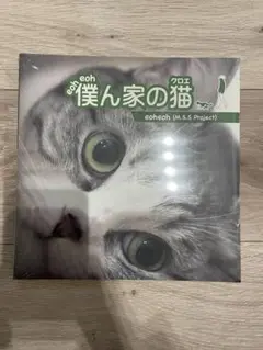僕ん家の猫 eoh eoh (M.S.S Project)