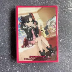 新品未開封☆6個セット★トレーナーカードコレクション☆マリィの練習 トレーナーカードコレクション マリィの練習 未開封ボックス