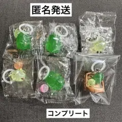 モリゾーとキッコロ　めじるしアクセサリー　コンプリートセット