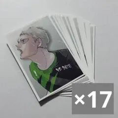 ハイキュー　思い出スナップフォトカード　青根高伸　17枚セット