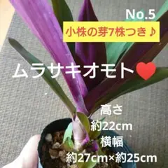 Flower＊j'aime様 リクエスト 5点 まとめ商品