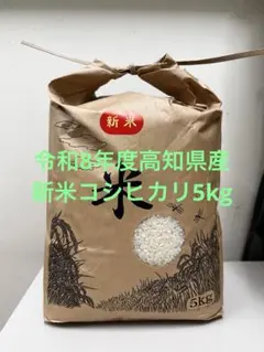 令和8年高知県産 新米コシヒカリ 精米 5kg