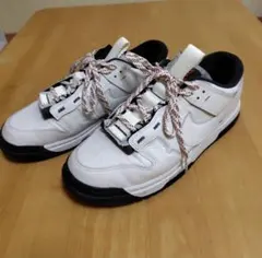 Nike Air Dunk Low Jumboのサムネイル