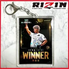 Item thumbnail for item 2c731fca-ae03-42fc-ad5a-b74ca97768a0