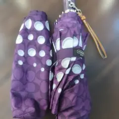 Item thumbnail for item efbb0d0a-83fe-4e17-87e0-22ba4d258154