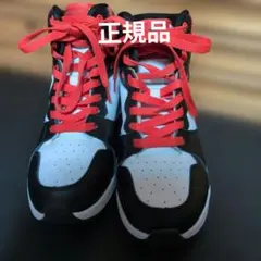 ZUMBAシューズ 23cm〜23. 5cm 正規品