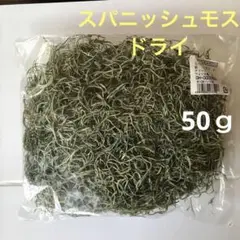 スパニッシュモス グリーン ドライフラワー アレンジメント用品・資材 約50ｇ