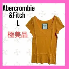 極美品　[Abercrombie&Fitch] Vネック 半袖　トップス　刺繍
