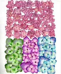 Item thumbnail for item d3052e0a-6adc-4db0-aab1-d7b2b5a1c7b0