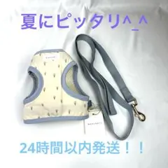 冷感アイスクリーム柄ハーネス+リードセット ブルーＭサイズ　試着のみ未使用品のサムネイル