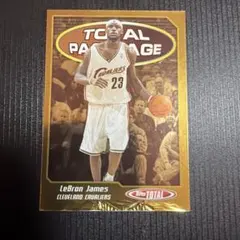 Item thumbnail for item b891e7c4-d9c1-4013-8d92-db59885e0eb6