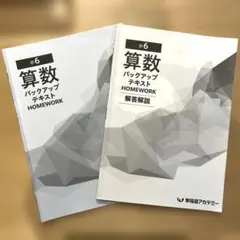 2026年最新】早稲田アカデミー 小6 バックアップテキストの人気