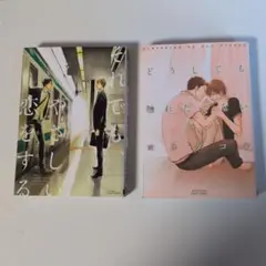 ボーイズラブ漫画2冊セット ヨネダコウ