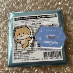 SEVENTEEN MINITEEN アクスタ　チャンダリ　ディノ