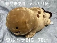 オーさんしょうさん やっほーVMCコンプリート オオサンショウウオ