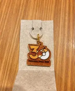 ポケモン Poké-Charm 30周年ロゴマスコット デデンネ