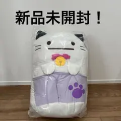 すみっコぐらし　ねこねこハロウィン ぬいぐるみXL プレミアム